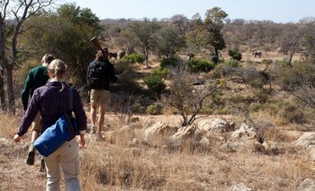 Kingfisher Creek Safari Lodge 3*