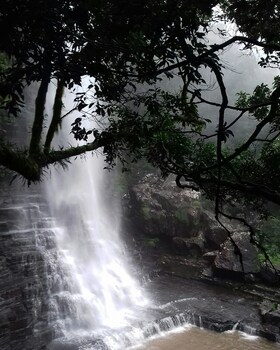 Kingfisher Creek Safari Lodge 3*