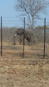 Kingfisher Creek Safari Lodge 3*