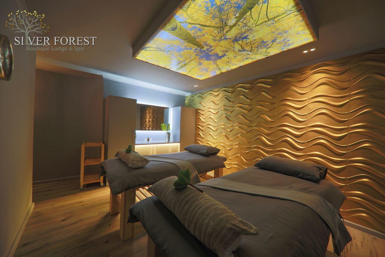Silver Forest Boutique Hotel, Spa, Restaurant & Bar 4*