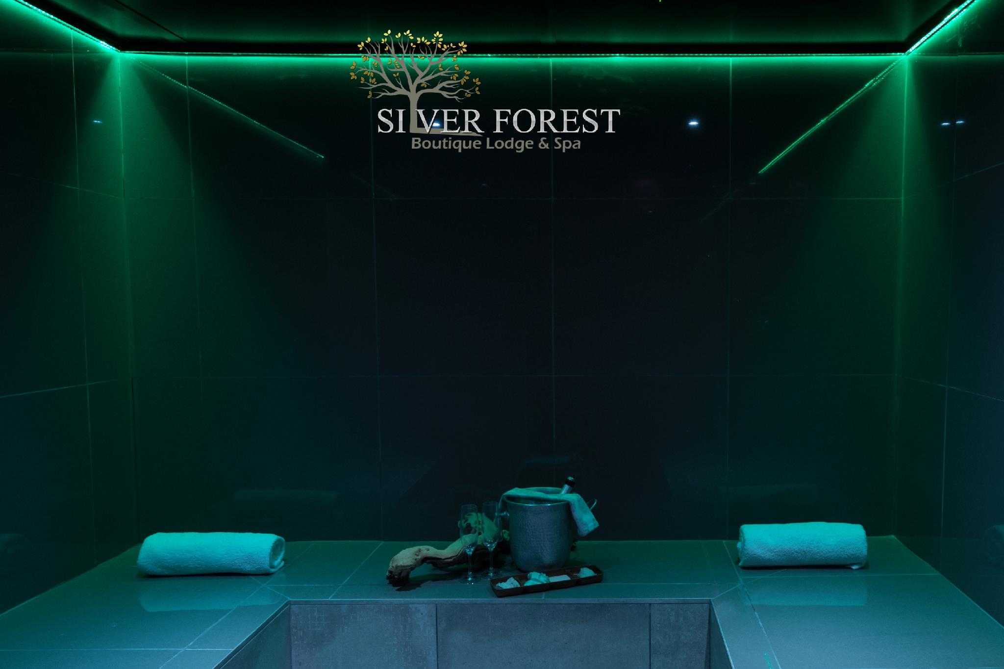 Silver Forest Boutique Hotel, Spa, Restaurant & Bar 4*