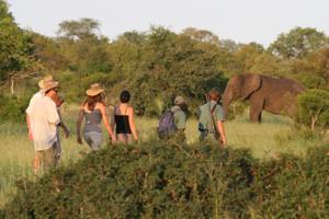 Rhino Post Safari Lodge 0*