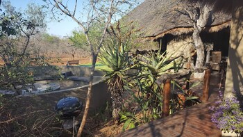 Call of the Wild Lodge 0*