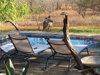 Call of the Wild Lodge 0*
