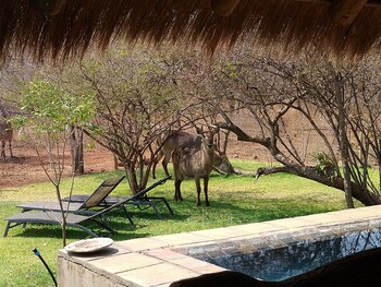 Call of the Wild Lodge 0*