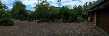 Call of the Wild Lodge 0*
