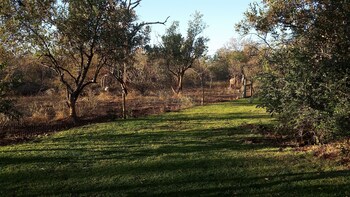 Call of the Wild Lodge 0*