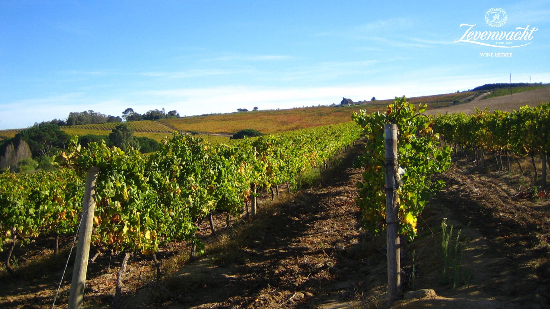 Zevenwacht Wine Estate 4*
