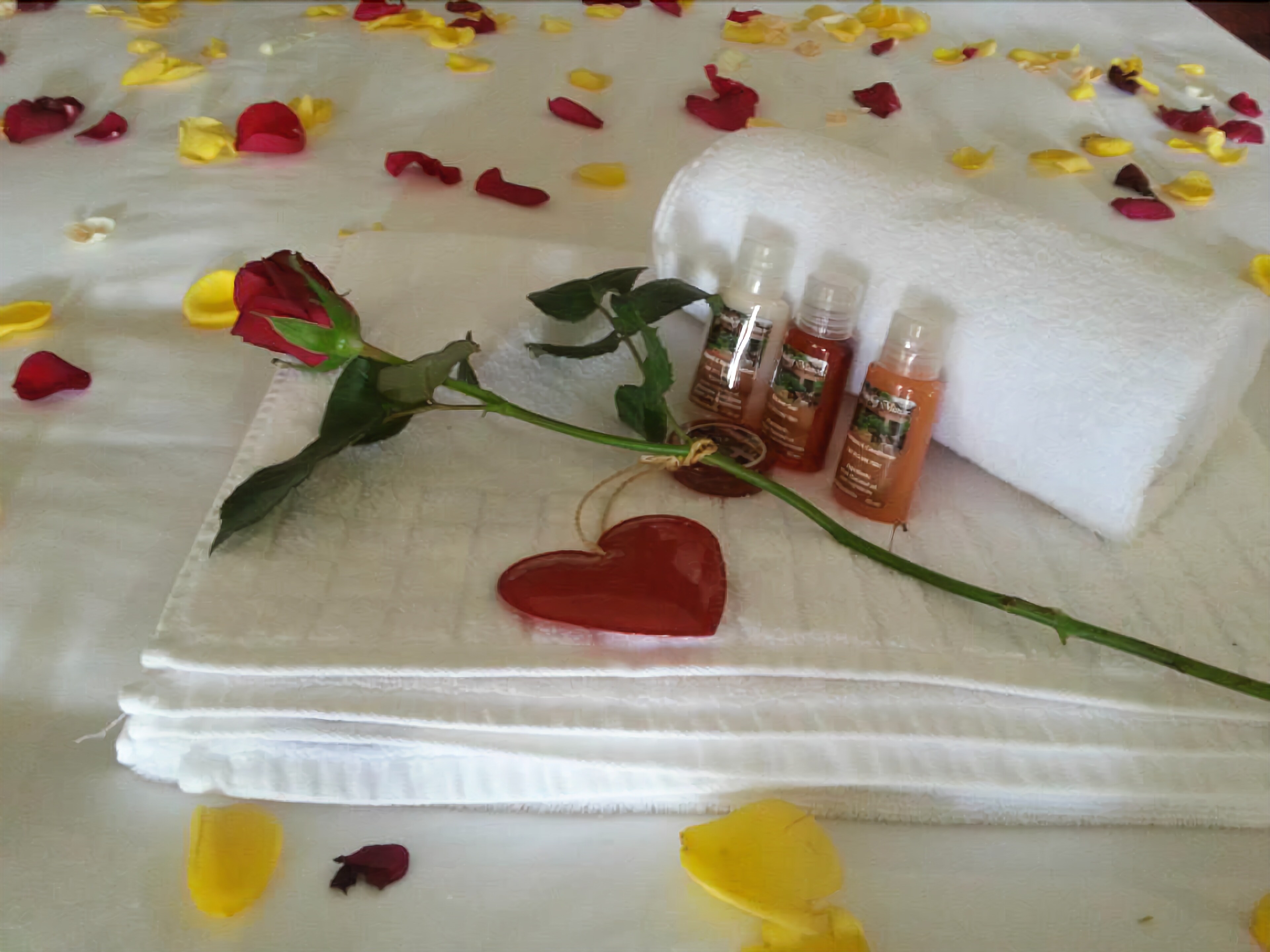 Prinshof Manor Guesthouse 3*