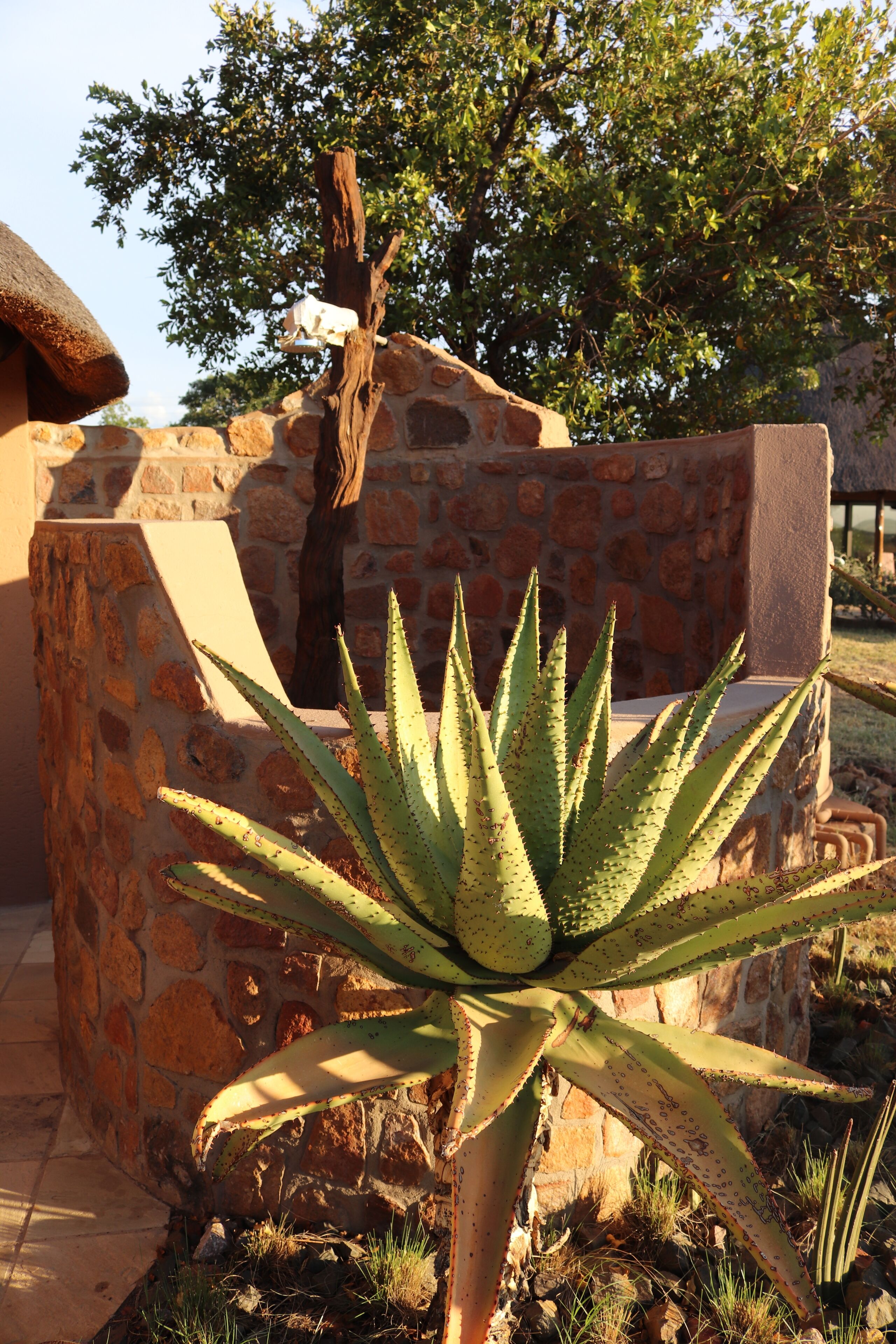 Golden Impalas Bush Resort 0*