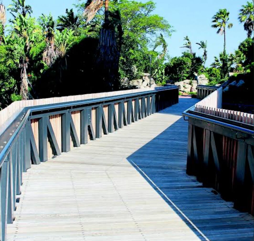 101 Nine palms 0*