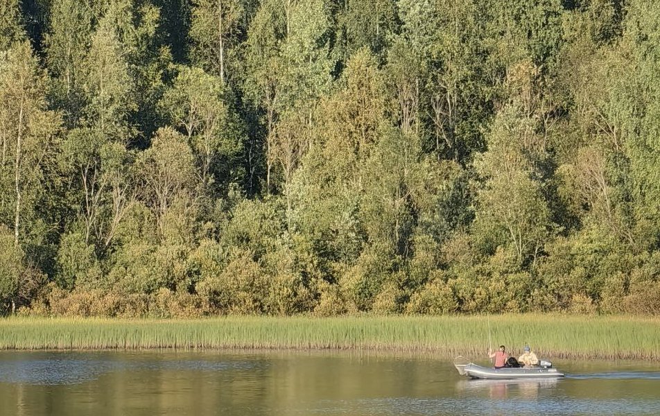 Дома Шулка 3*