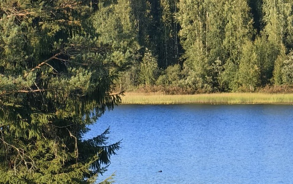 Дома Шулка 3*