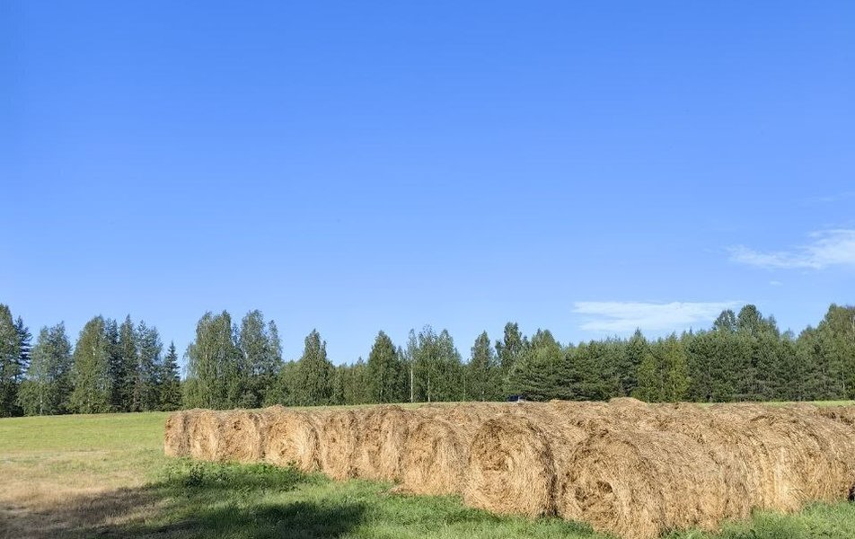 Дома Шулка 3*