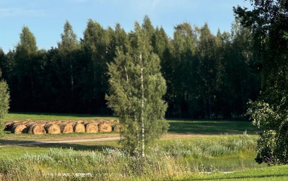 Дома Шулка 3*
