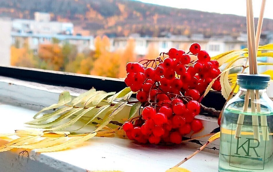Уютный Север на Зои Космодемьянской 21 3*