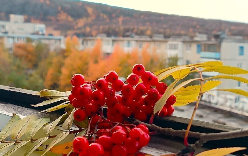 Уютный Север на Зои Космодемьянской 21 3*
