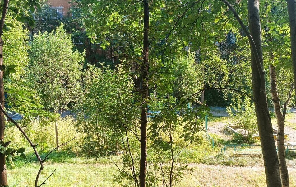 Уютный Север на Новом Плато 5 3*