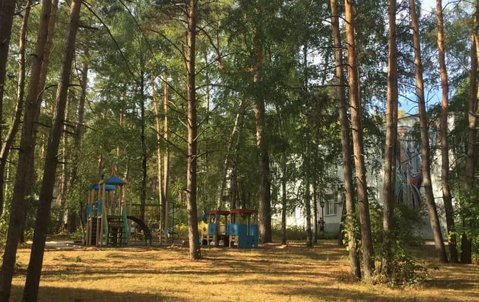 Русский бор 3*