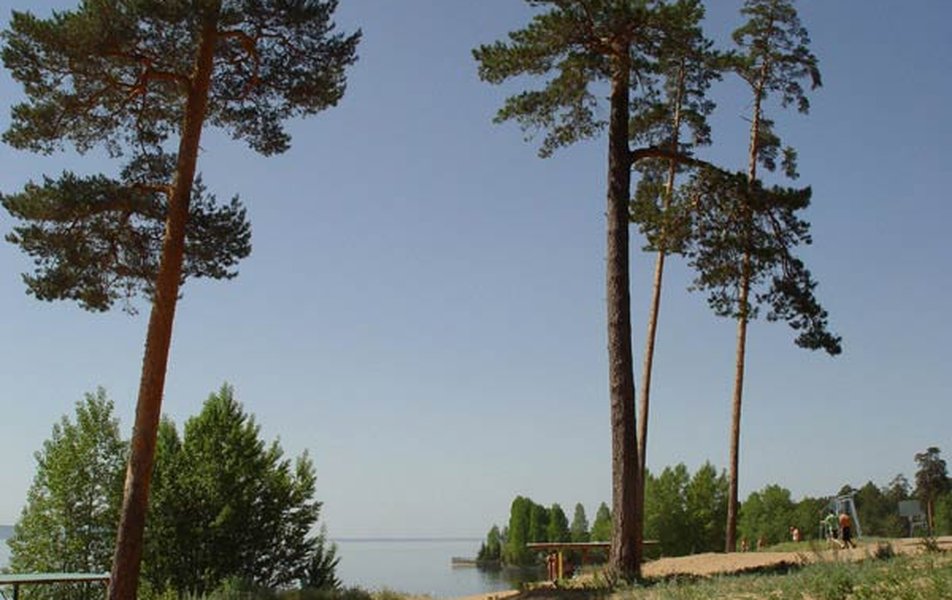 Русский бор 3*