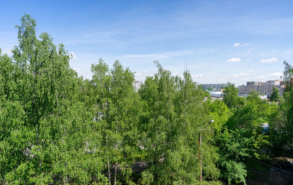 Визит на Сафиуллина 16 3*