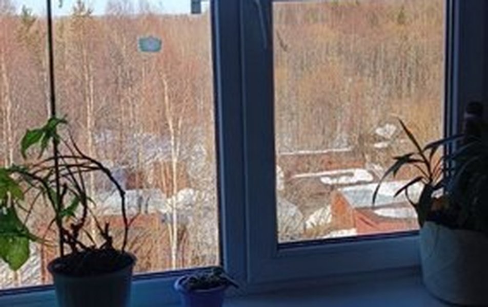 Счастливая матрешка на Клепача 7 2*