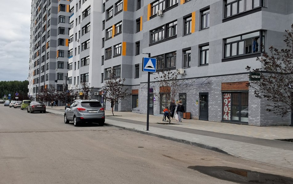 Лимон на Пушкина 8 3*