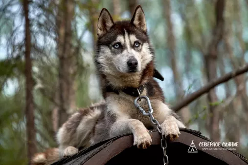 Северное Сияние парк активного отдыха 2*