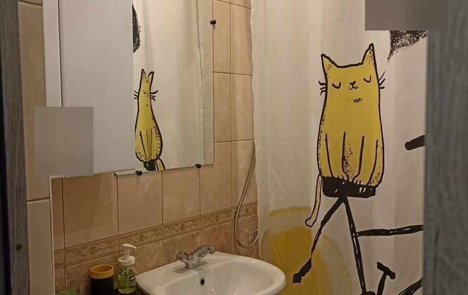 Жёлтый Кот 2*