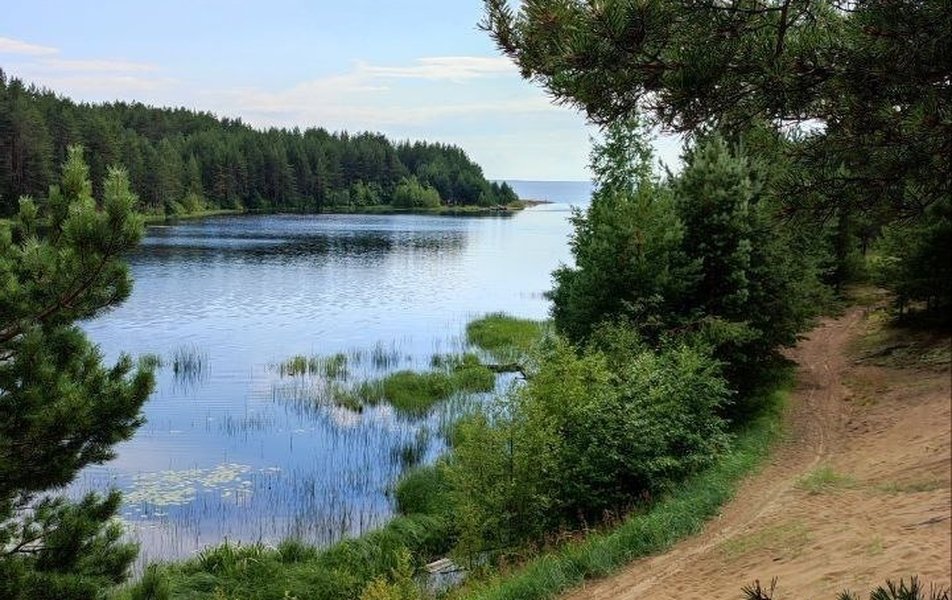 Дом на берегу реки Устье Тулоксы 0*