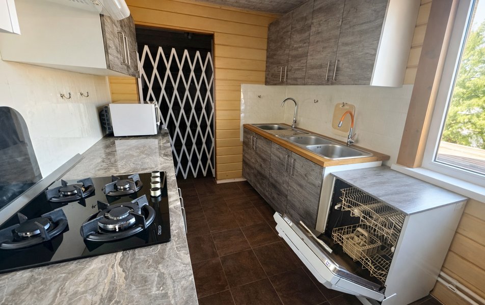 деревня Гонгалицы 52 0*