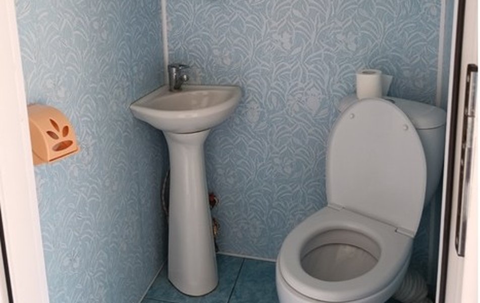 Лазурное Яровое 2*