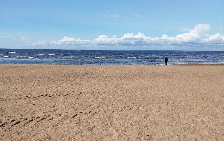 Молли 3*