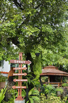 The Loft Resort Bangkok 3*