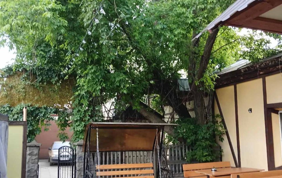 Трактир Петров Водкин 3*