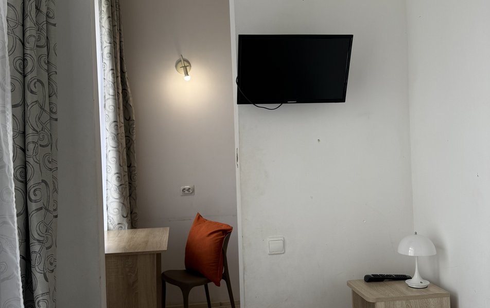 Ветка на Большой Московской 3*