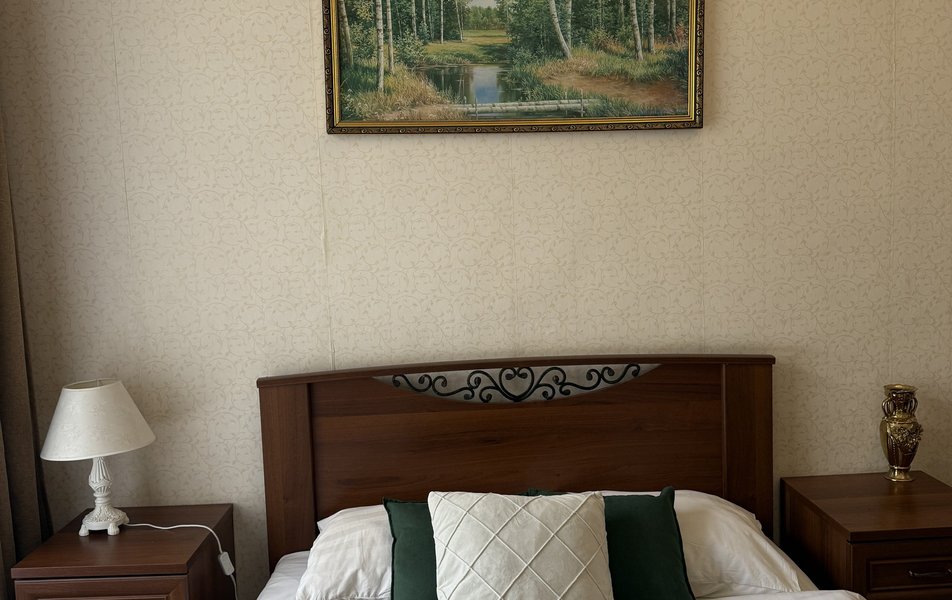 Ветка на Большой Московской 3*