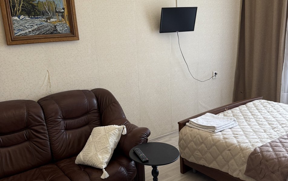 Ветка на Большой Московской 3*