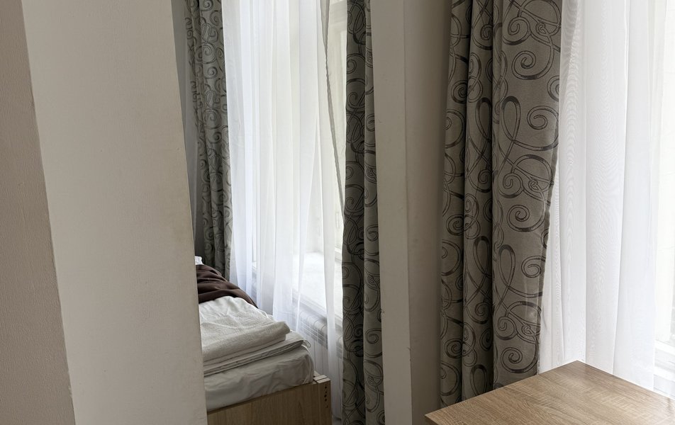 Ветка на Большой Московской 3*