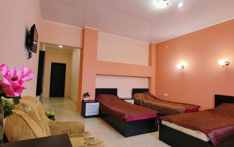 Лион Кастл 3*