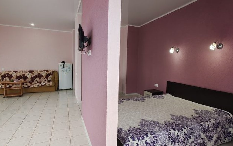 Лион Кастл 3*