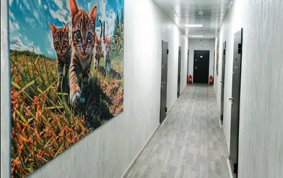 Борисон 3*