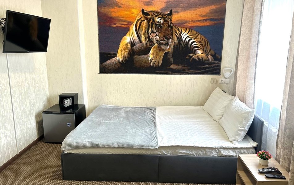 Борисон 3*