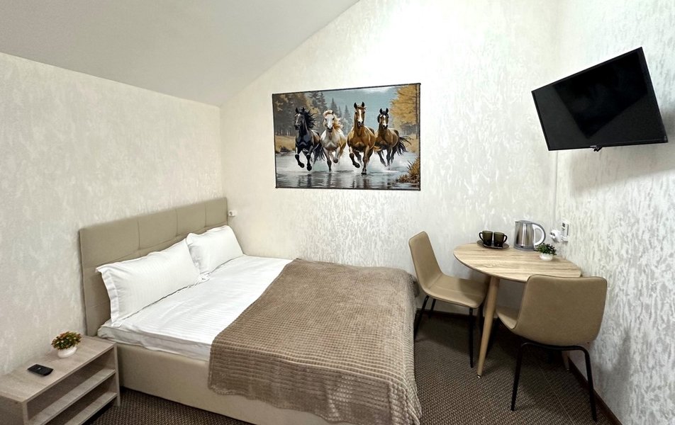 Борисон 3*