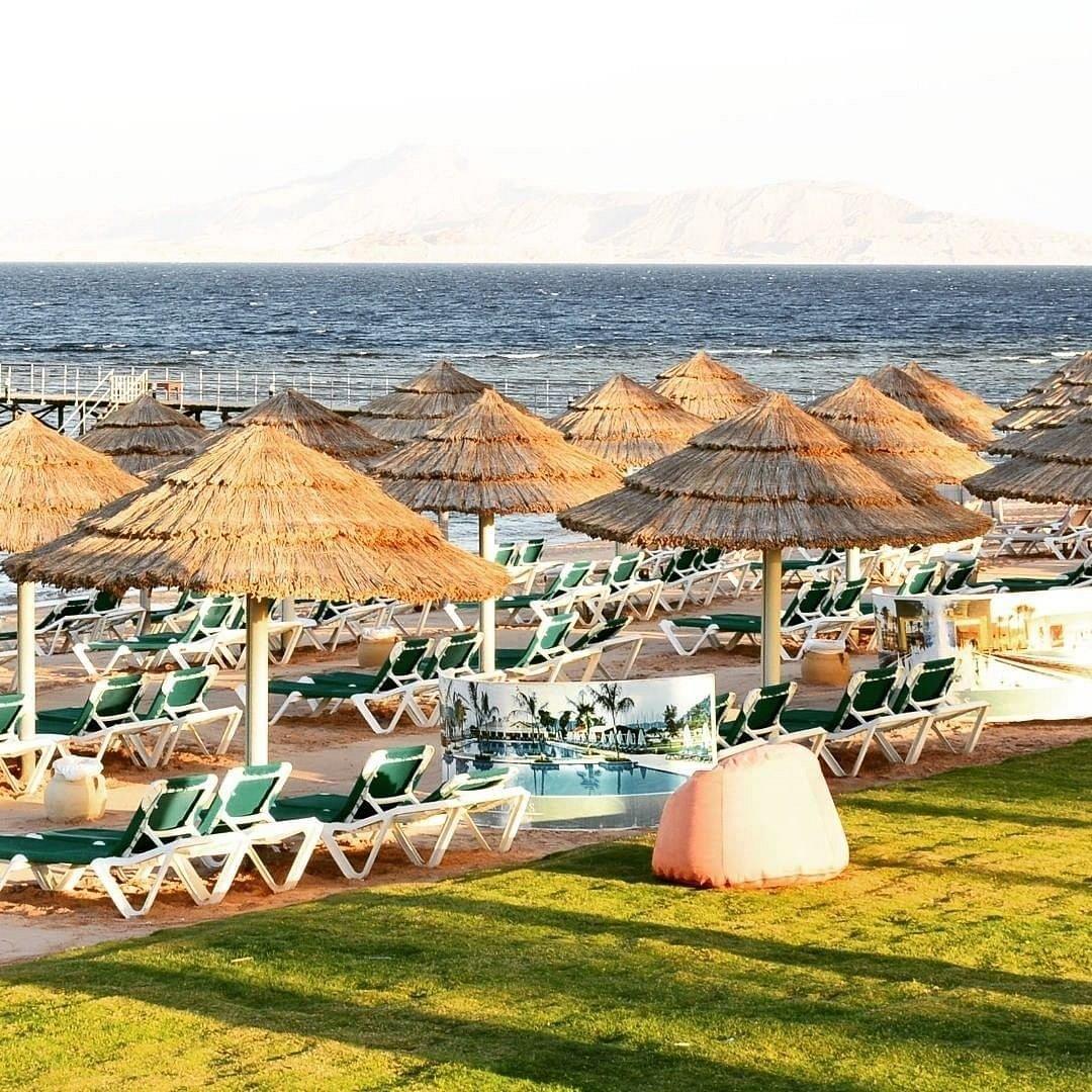 Туры в Rixos Sharm El Sheikh Adults Friendly (18+)