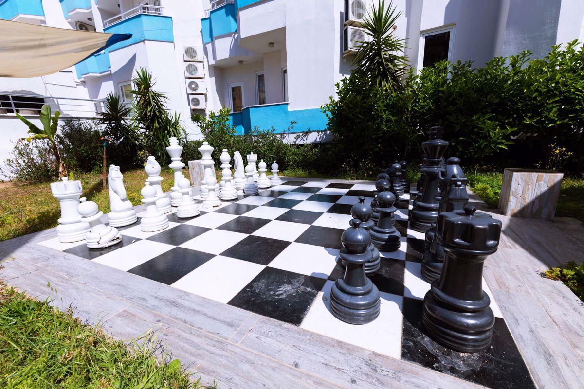 Чесс отель шахматы играть