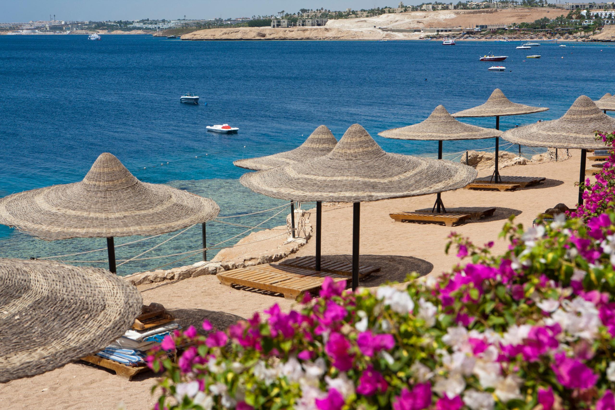 Siva Sharm Resort Spa риф