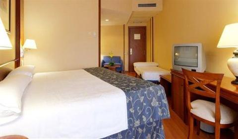 Туры в Tryp Guadalajara