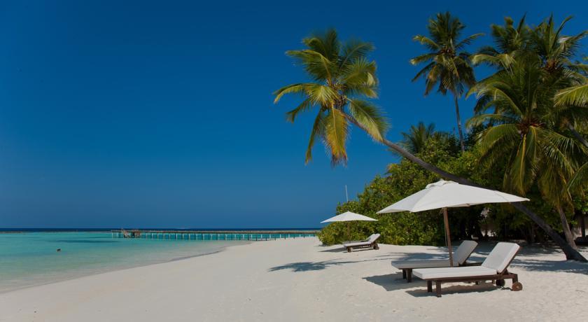 Туры в Nova Maldives