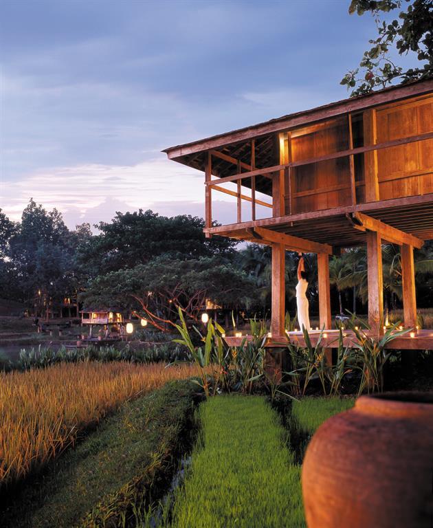 Туры в Four Seasons Resort Chiang Mai